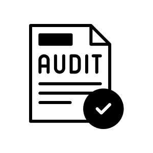 System Audit