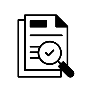 Validation Auditing